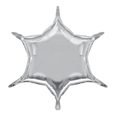 silver-6-point-star